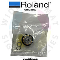 Roland GX-640 ASSY, P-ROLLER FD16S4(B10) TYPE3- 1000005070