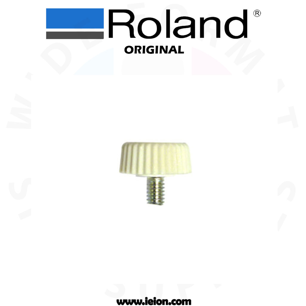 Roland SP-300 PLAPOINT, FE4*6 WH- 31139103