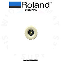 Roland SP-300 PLAPOINT, FE4*6 WH- 31139103 Roland SP-300 PLAPOINT, FE4*6 WH- 31139103