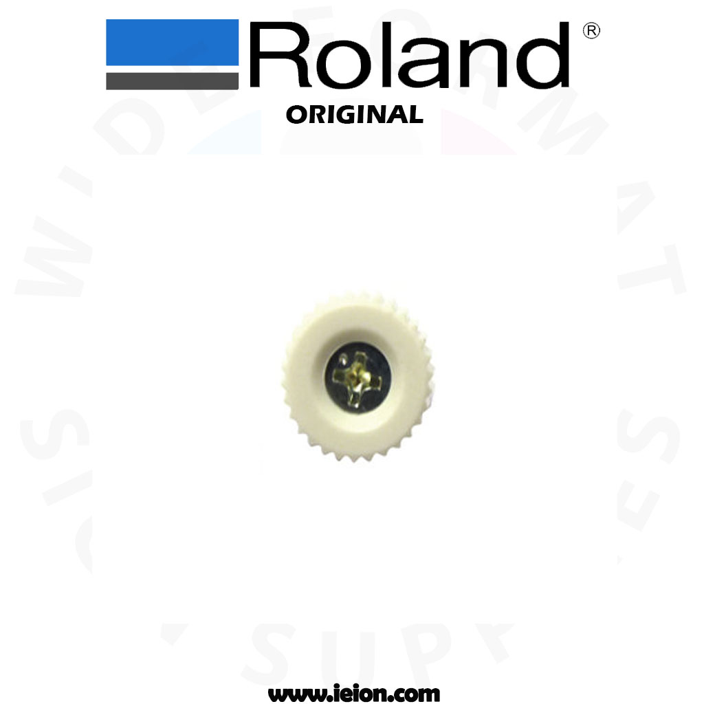 Roland SP-300 PLAPOINT, FE4*6 WH- 31139103